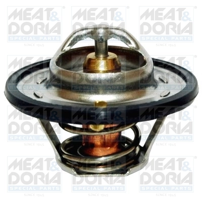 Thermostat, coolant